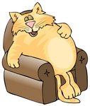 Funny story to encourages children to go to bed early